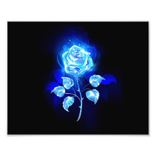 Foto Gravação de Rosa Azul