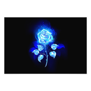 Foto Gravação de Rosa Azul