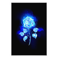 Gravação de Rosa Azul