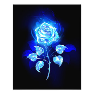 Foto Gravação de Rosa Azul