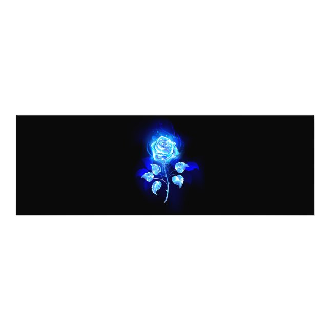 Foto Gravação de Rosa Azul (Frente)