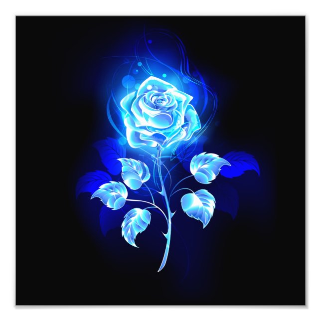 Foto Gravação de Rosa Azul (Frente)