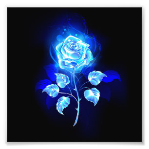 Foto Gravação de Rosa Azul