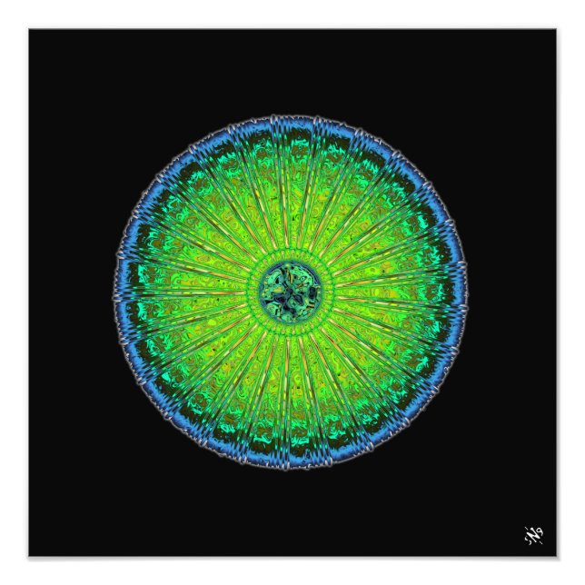 Foto Guarda-chuva de águas-vivas (Frente)