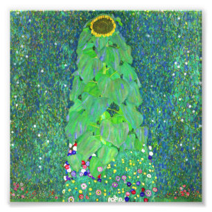 Foto Gustav Klimt Sunflower