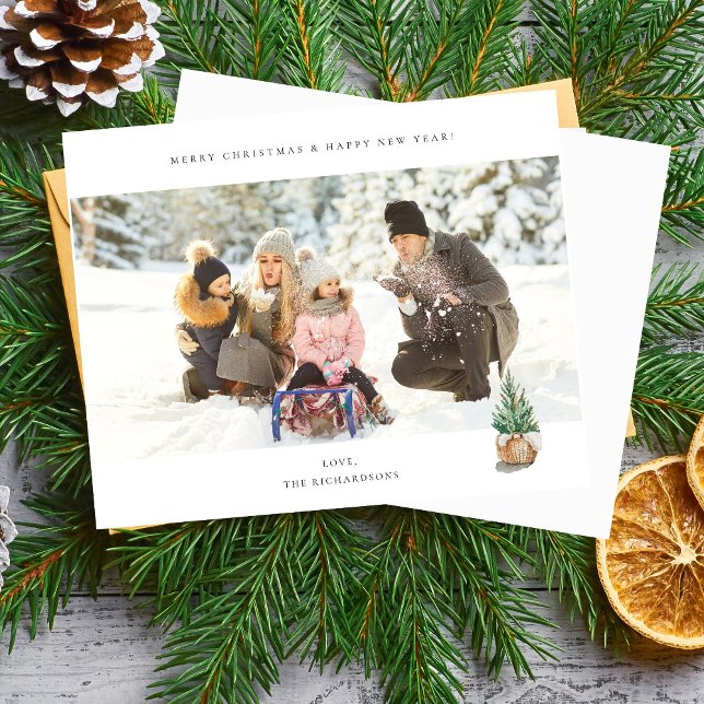 Foto H Chic Panorâmica - Árvore de inverno (Criador carregado)