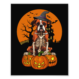 Foto Halloween, Cachorro Alemão
