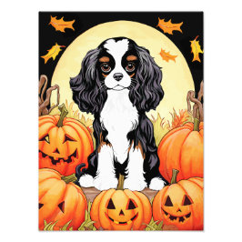 Foto Halloween, Queda, Triz Cavalier Spaniel