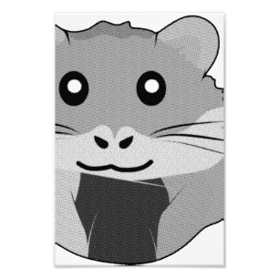 Foto Hamster Minimalista Repleto