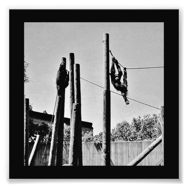 Foto Hangin' Loose (Frente)