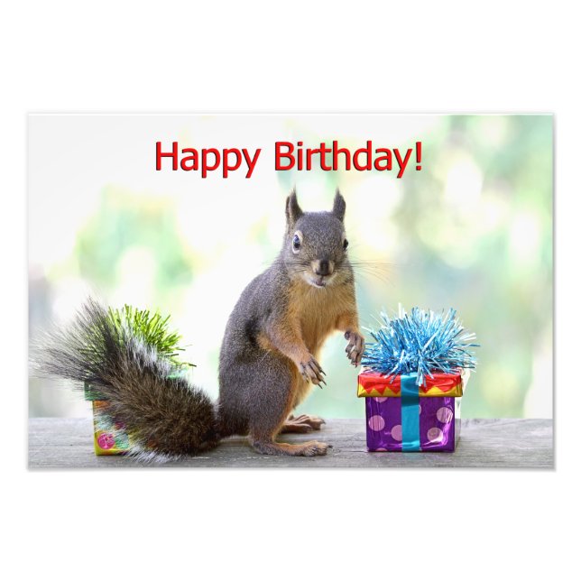 Foto Happy Birthday Squirrel (Frente)