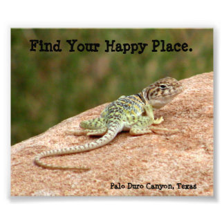 Foto Happy Place Lizard Impressão