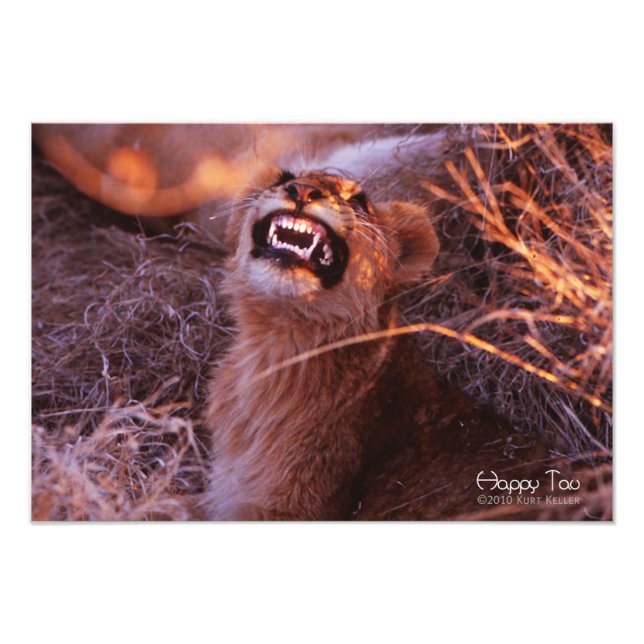 Foto Happy Tau (Frente)