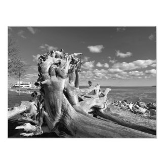 Foto Harbour View - Plymouth, Massachusetts