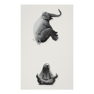 Foto Harmonia entre Elefante e Preguiça Meditativa