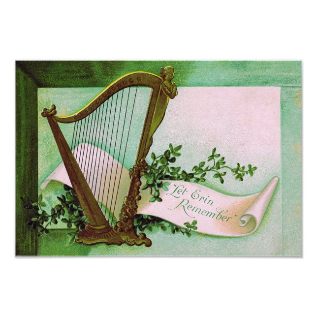 Foto Harp de Erin Shamrock Green (Frente)