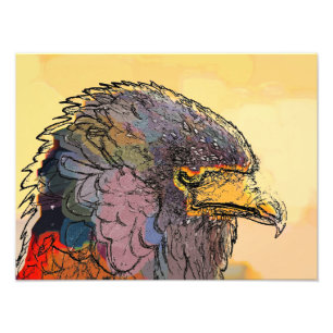 FOTO HAWK