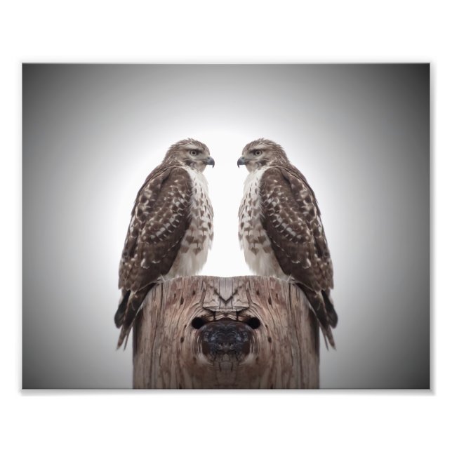 Foto Hawks em um posto (Frente)