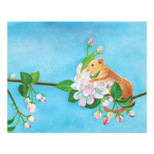 Foto Hazel Dormouse em um galho florescente