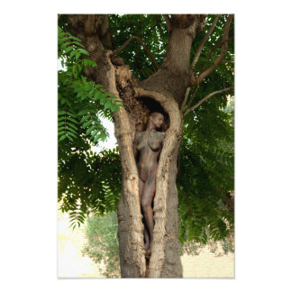 Foto Heart of Tree the by Johannes Stötter