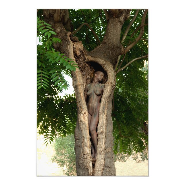 Foto Heart of Tree the by Johannes Stötter (Frente)