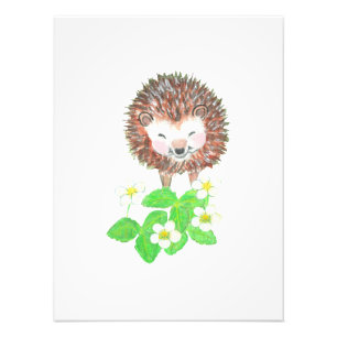 Foto Hedgehog Sorridente