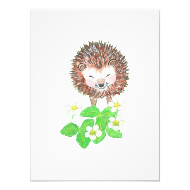 Foto Hedgehog Sorridente (Frente)