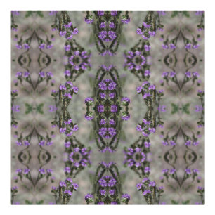 Foto Heliotrope de Sal Roxo Padrão de Flor Selvagem