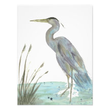 Herão da Aquarela