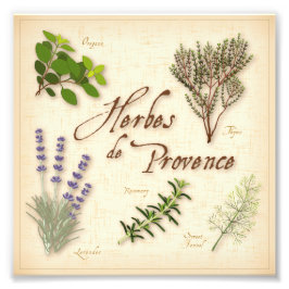 Foto Herbes de Provence Photo Impressão