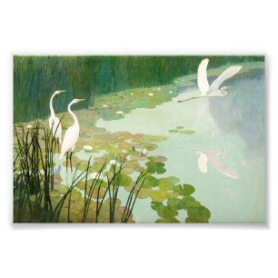 Foto Herões no Verão por Newell Convers Wyeth