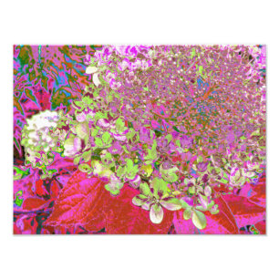 Foto Hídricas Verdes, Rosa e Azuis