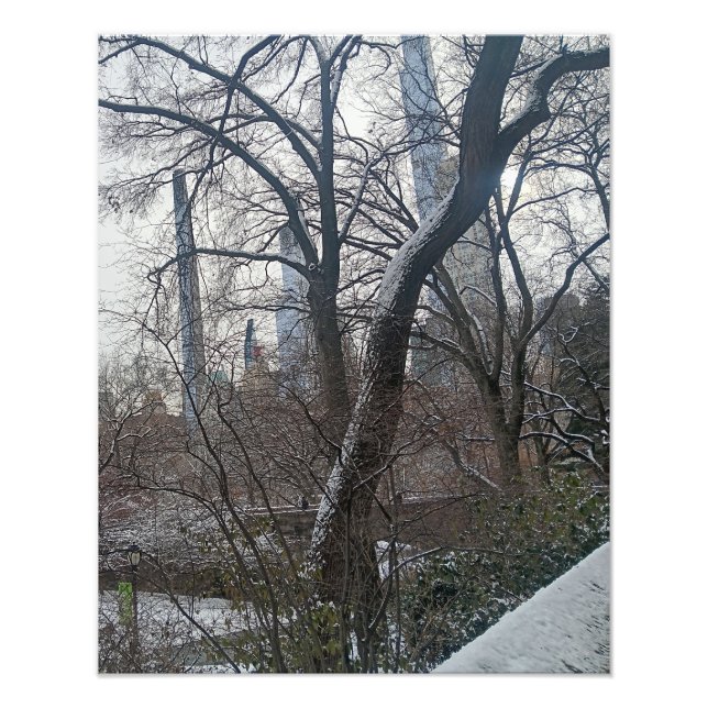 Foto Hoje no Central Park da Cidade de Nova York (Frente)