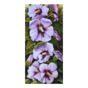 Foto Hollyhock