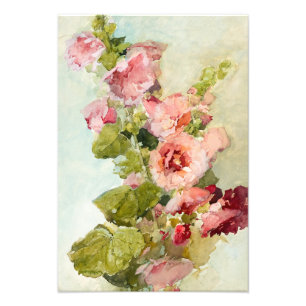 Foto Hollyhocks por Franz Bischoff