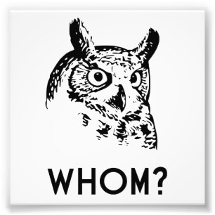 Foto Hoo Who Grammar Owl
