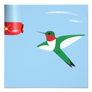 Foto Hummingbird na impressão de voo