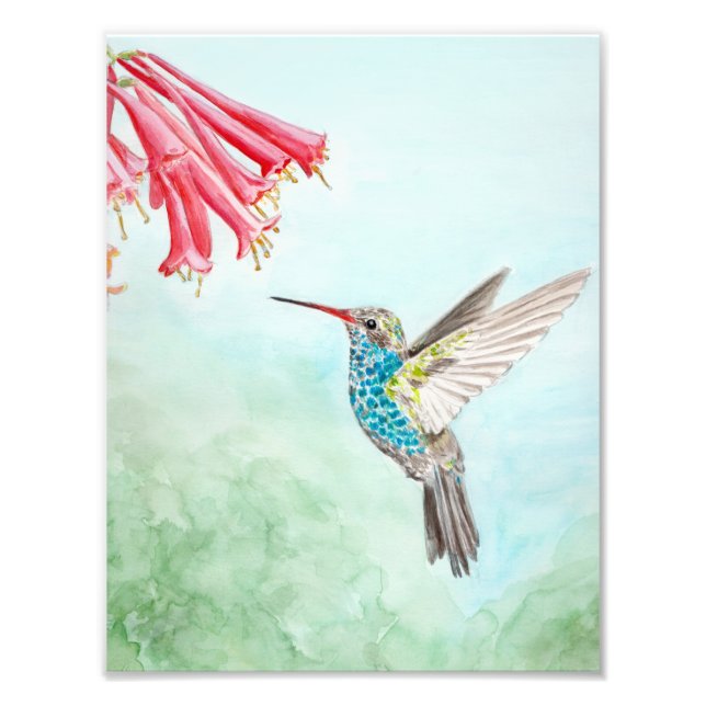 Foto Hummingbird Watercolor impressão (Frente)