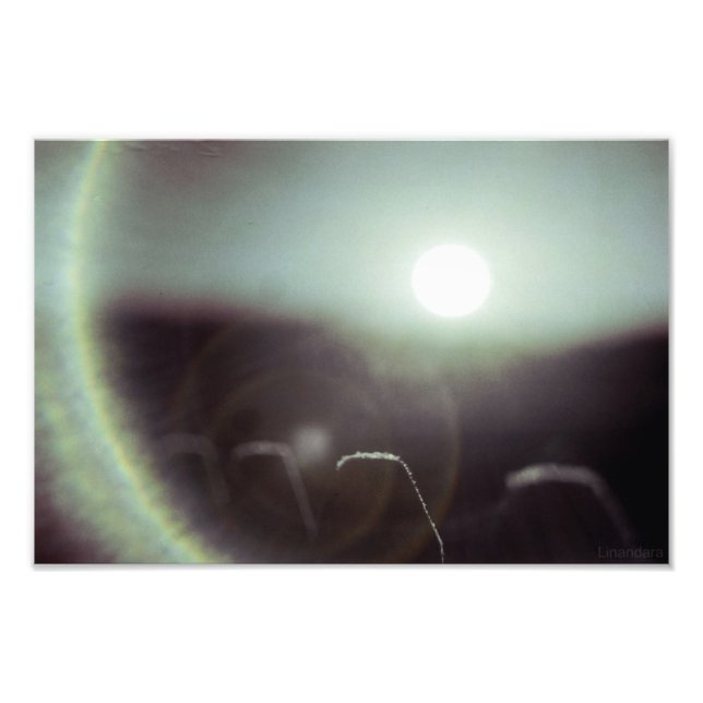 Foto Icy Sun por Alexandra Cook (Frente)