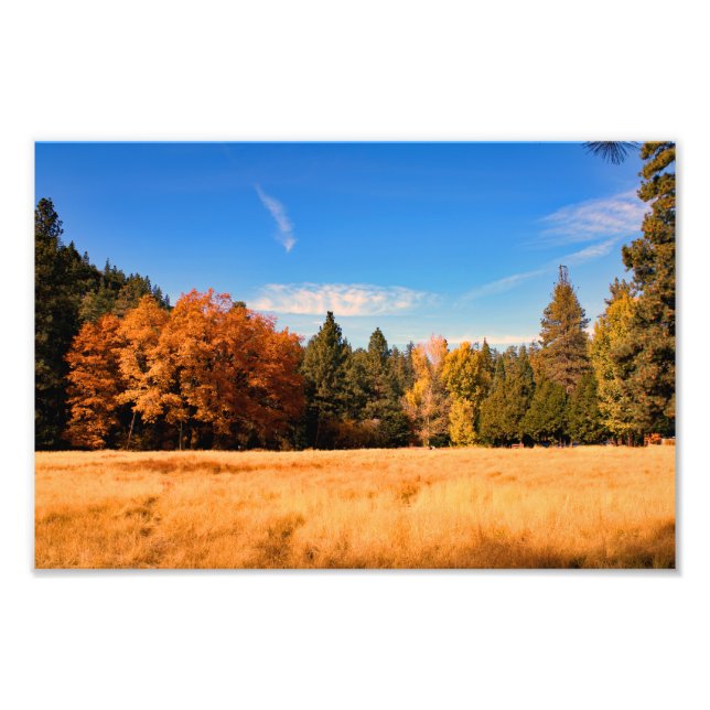 Foto Idyllwil- Pine Cove (Frente)