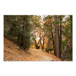 Foto Idyllwil- Pine Cove