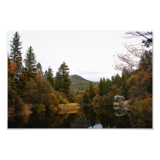 Foto Idyllwil- Pine Cove