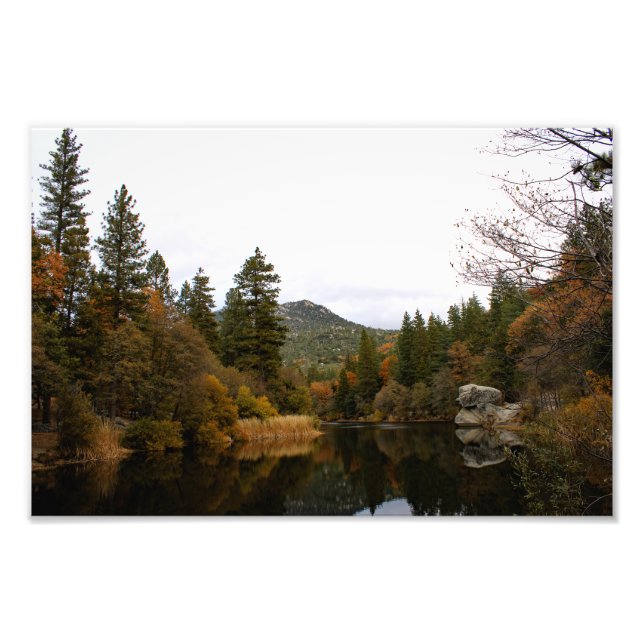 Foto Idyllwil- Pine Cove (Frente)