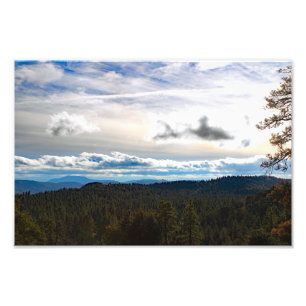 Foto Idyllwil- Pine Cove