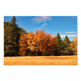 Foto Idyllwil- Pine Cove
