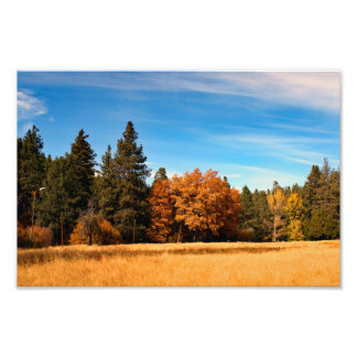 Foto Idyllwil- Pine Cove