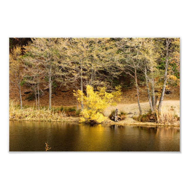 Foto Idyllwil- Pine Cove (Frente)