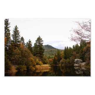 Foto Idyllwil- Pine Cove