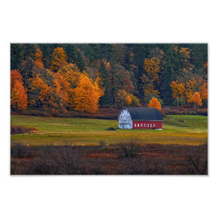 Foto Ilha Bessner Barn Guemes