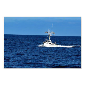 Foto Ilha Catalina papais noeis